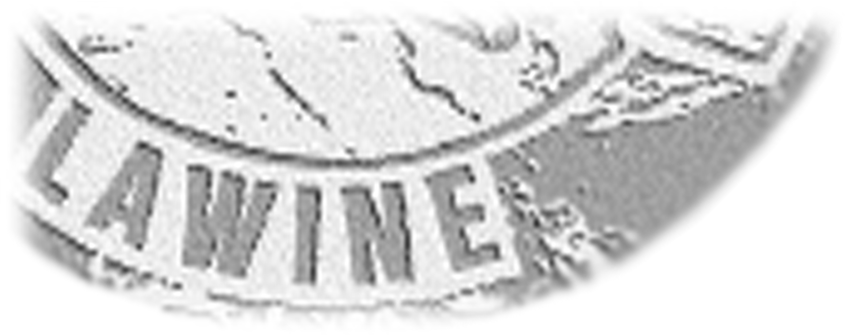 Stichting Lawine logo